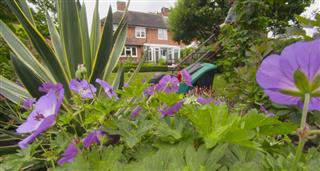 British Garden: Life And Death On Your Lawn