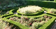 Quiet American Gardener, The: Hidcote Manor Gardens