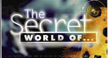 Secret World Of...