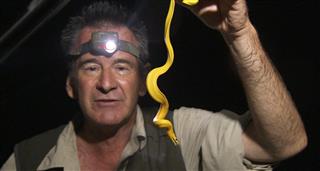 Ten Deadliest Snakes With Nigel Marven (Series 1)