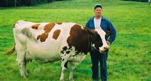 Standard Of Perfection: Show Cattle, The