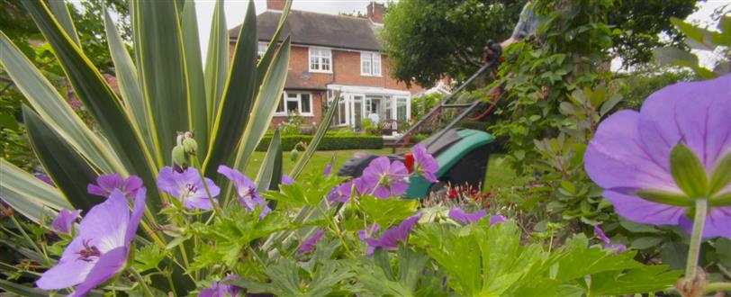 British Garden: Life And Death On Your Lawn