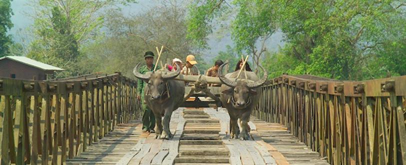 Burma's Open Road