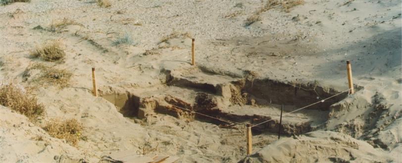 Patagonian Bones, The