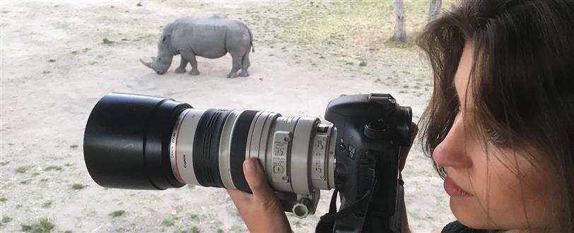 Epic Safari Encounters