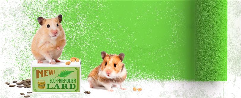 Greenwash, Explained With Hamsters