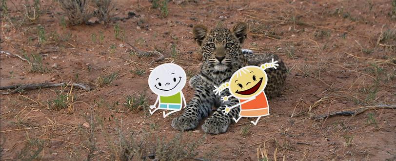 Kids' Guide To The Kalahari