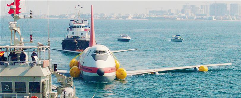 Plane To Save The Oceans, A