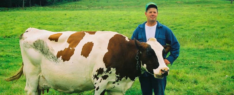 Standard Of Perfection: Show Cattle, The