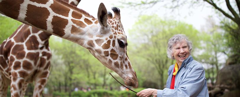 Woman Who Loves Giraffes, The